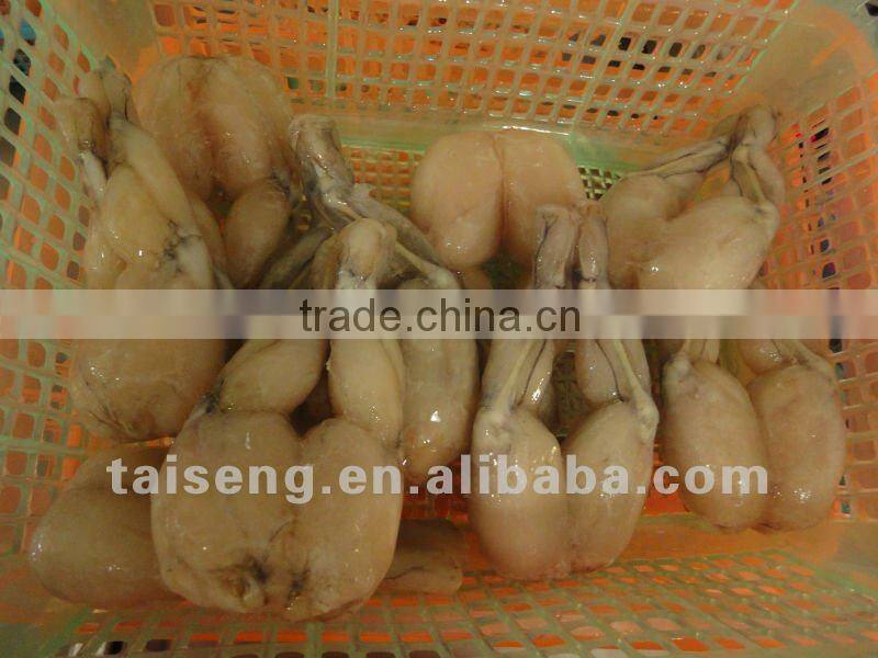 Frog Legs Meat