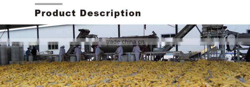 Non gmo frozen yellow corn market price