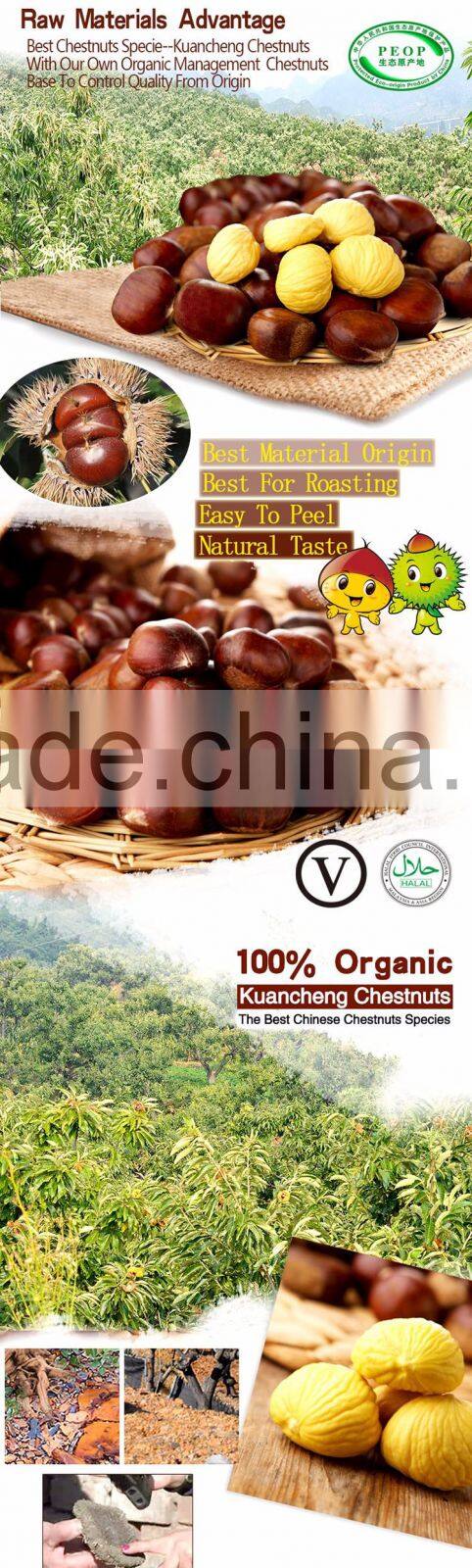 hot sale Organic Fresh Chinese Chestnut