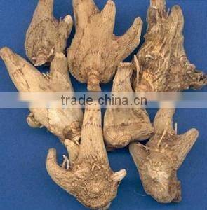 Natural Bletilla Tuber