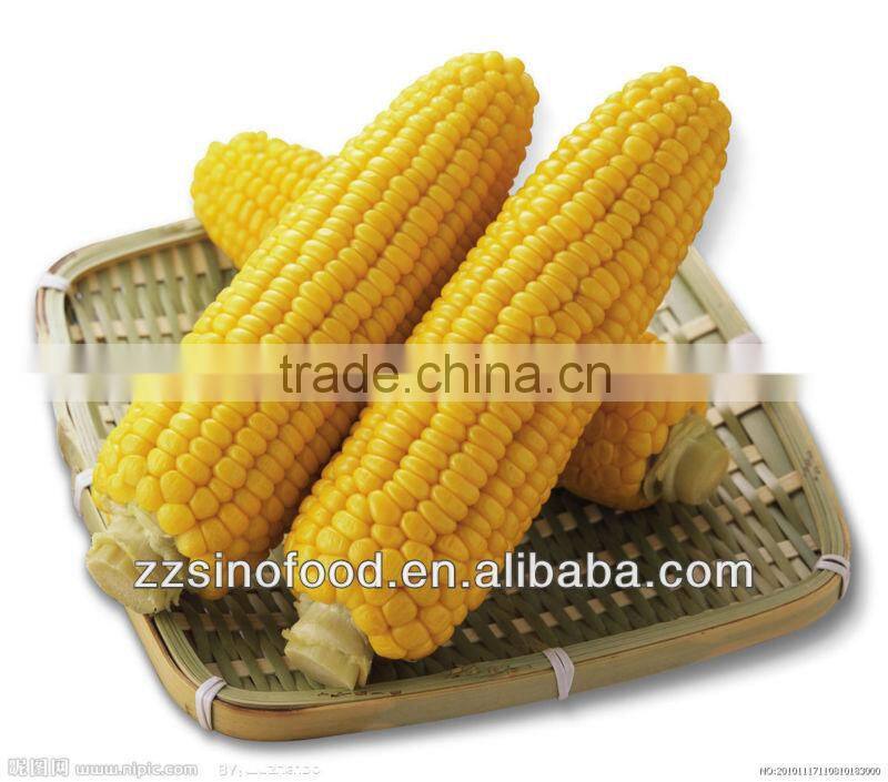 Chinese Food Canned Mixed Vegetable in Canned Food Production Line