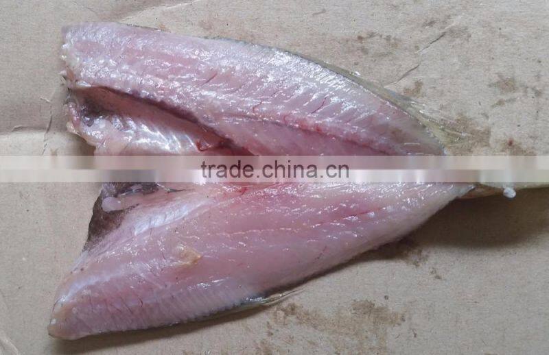 FGB-168 Small Fish Fillet Filleting Butterfly Machine