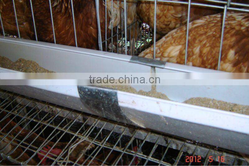 Poultry Cages for Feeding