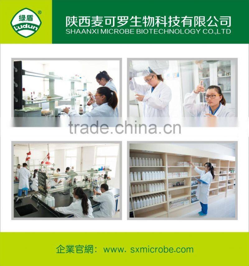 Hot pesticide/fungicide kasugamycin 4%SL