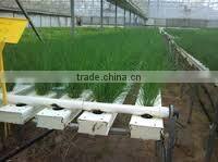 Most Popular Hydroponic NFT Channel pvc pipes