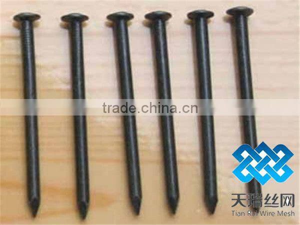 nails professional products