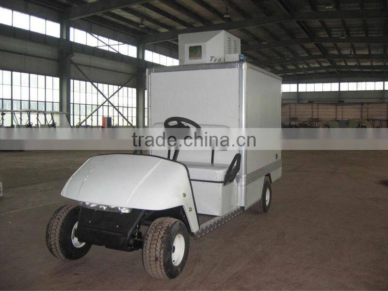 Electric Golf Buggy with Cooler Bin