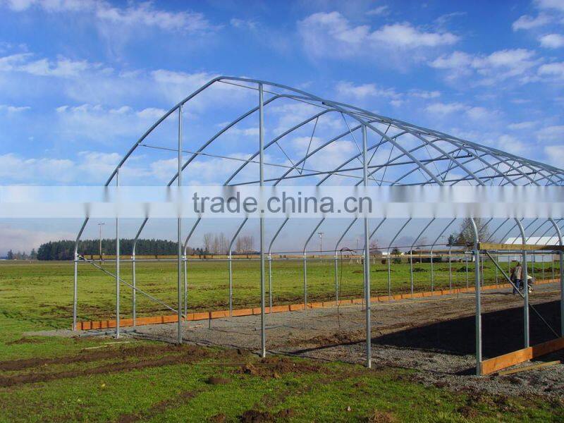 RoughBrothers Coldframe Series Galvanized Steel Frame Vegetable Tunnel Plastic Greenhouse