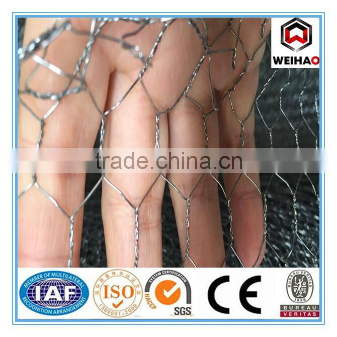 Anping Haotong PVC Coated&Galvanized Hexagonal Wire Mesh From China