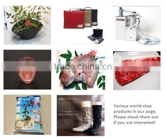 Modern and Classic raden made in Japan, lacquer, small lot order available