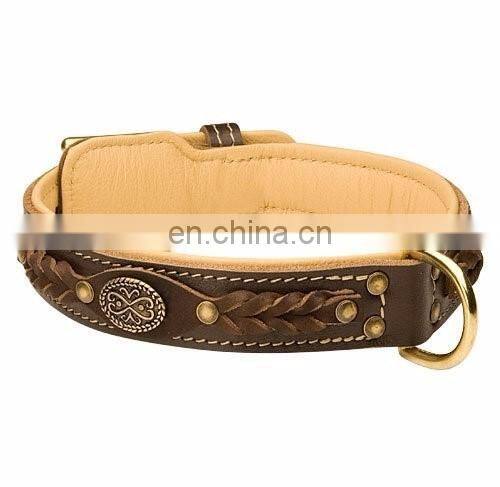 Leather large dog collars and leashes