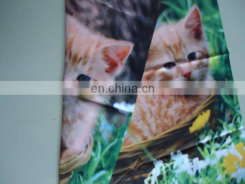 heat press or digital print garden flag