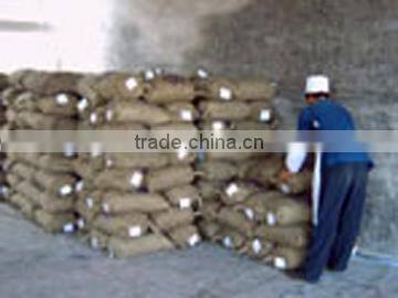 supply Chinese fresh chestnut