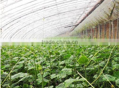 XINHAI Transparent Plastic Roof Building Materials for Workshop Green house Natural Lighting
