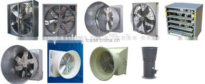 poultry farm ground raising chicken broiler equipment