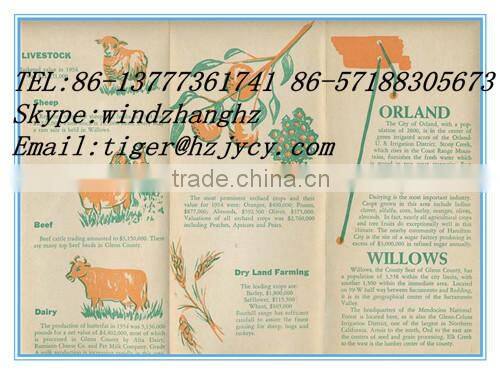 child book& child book printing&coloring book