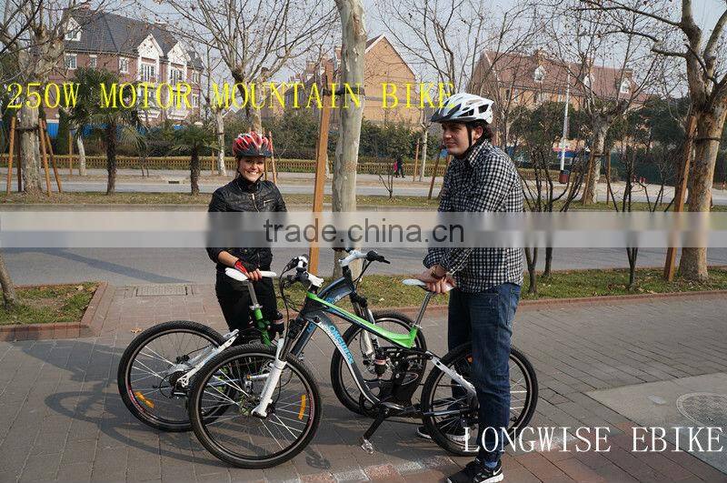 250W Elektro-Fahrrad E-Bike Pedelec electric bicycle 36V Li-ion battery mountain bike MTB CE EN 15194 approval