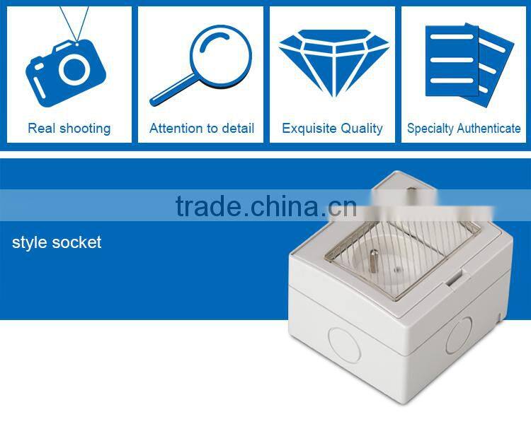 One-position Switch with One French Style Socket Wall Socket Switch