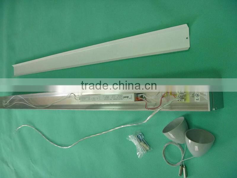 T5 1X28W market ceiling light