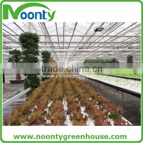 Hydroponics Greenhouse