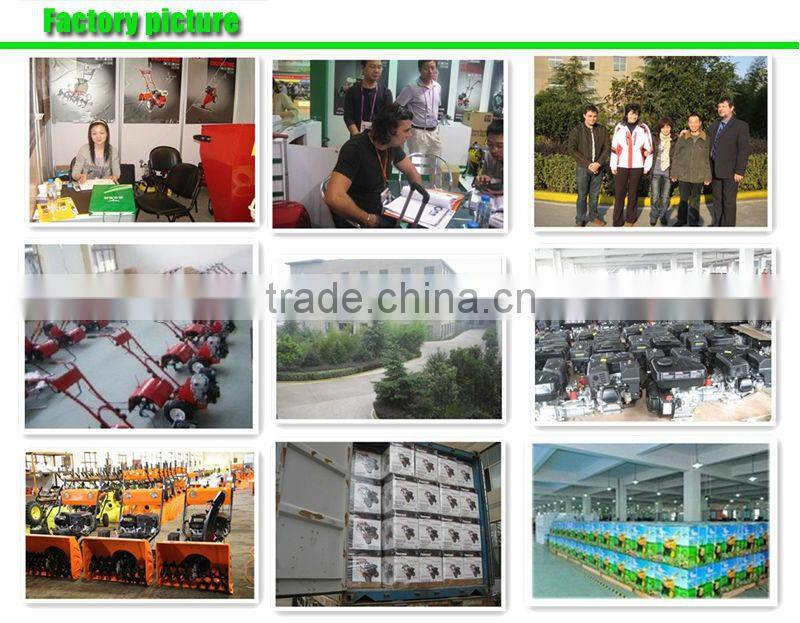 6.5HP Mini Gasoline Used Garden Tiller For Sale