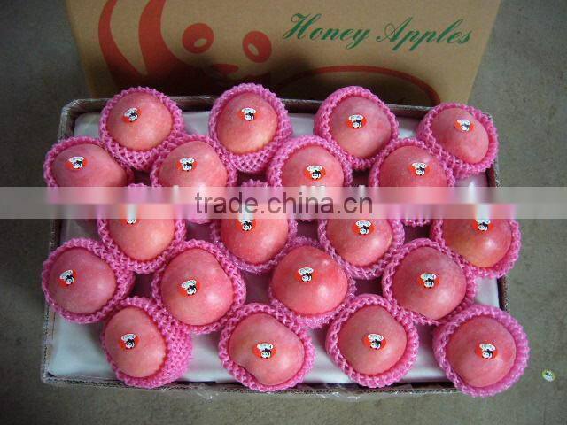 fruits containing vitamin d