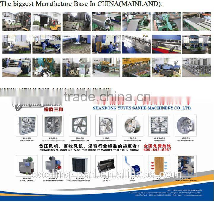 Dairy farming cows fan