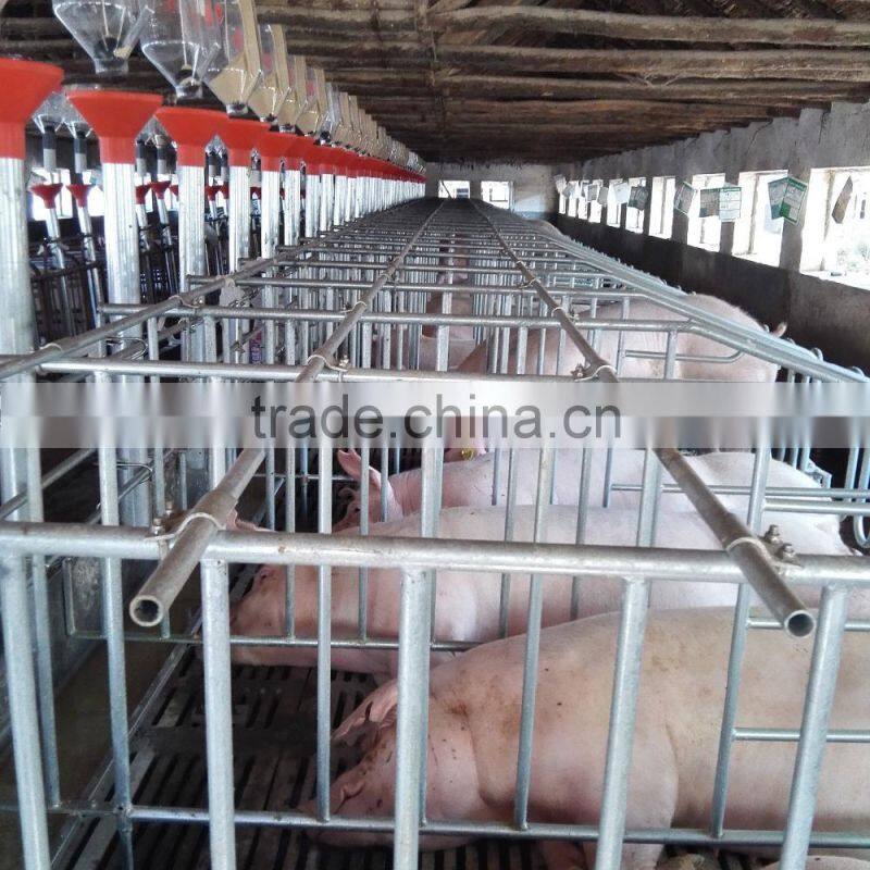 Pig Breeding Equipment/pig farming equipment/equipment for pig/piglet equipment