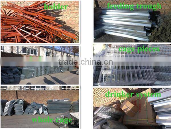 cheap price chicken cage for poultry farm