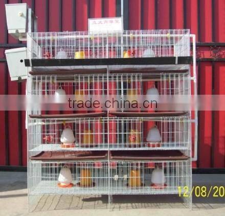 chiken egg poultry farm equipment/chicken cage for sale/automatic chicken layer cage