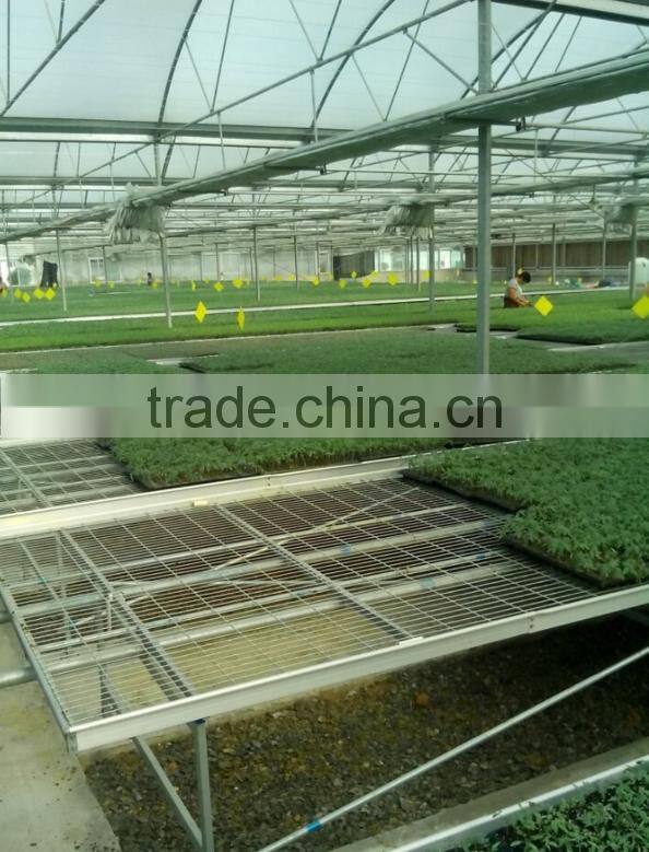 china market Movable Seedbed Bed For Agricultural Greenhouse