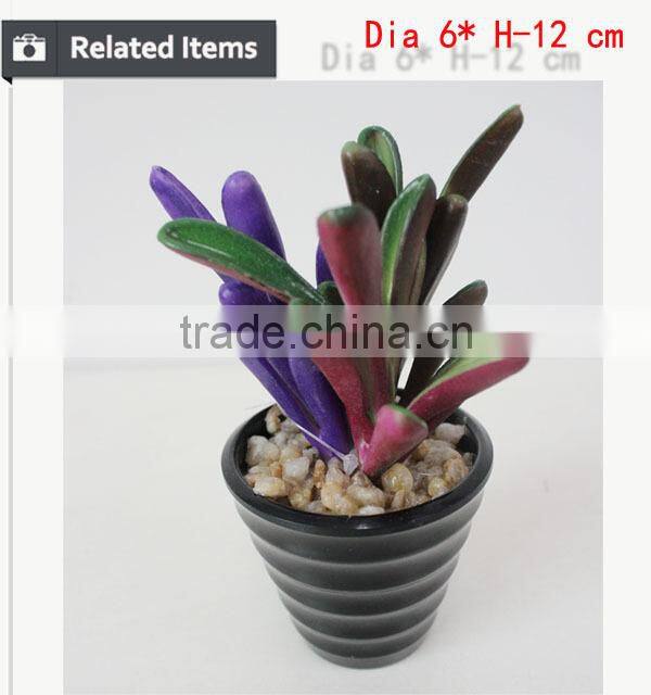 Tropical mini succulent plants bonsai for sale artificial succulents