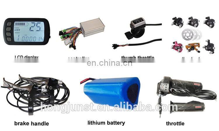 Brushless 8 Inch DC Motor With Different Tires and Brakes