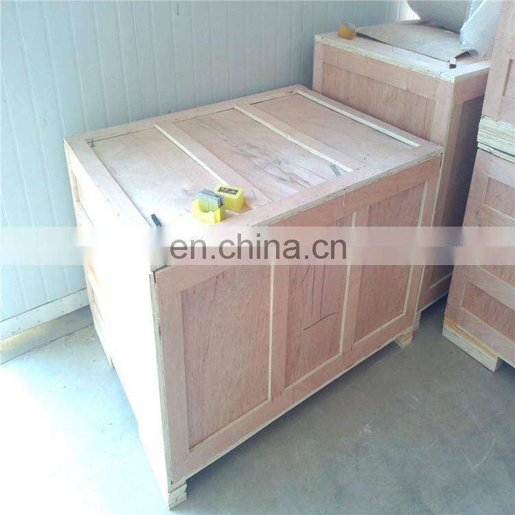 Most Competitive Garlic Peeling Machine Price / Garlic Clove Separator and Peeler Machine