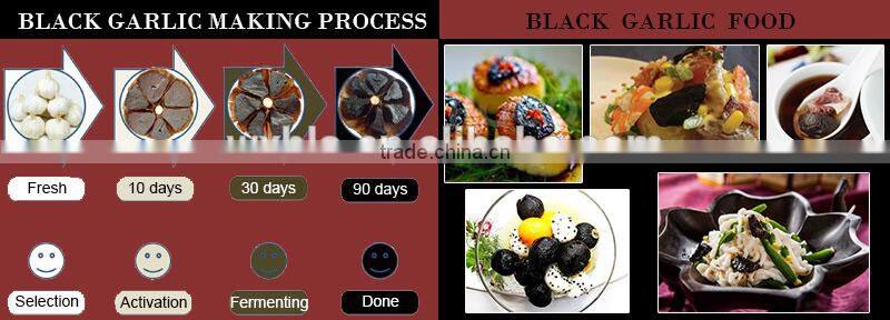 Good quality high temperature humidity black garlic machine, black garlic equipment