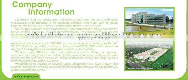 Flat Wireless Optical Mouse