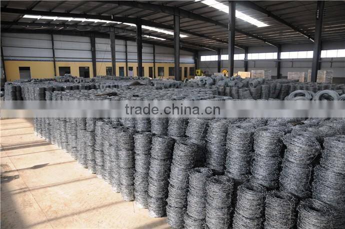 made in China galvanized & SS barbed wire fence on sale