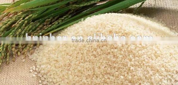 Rice Mill Machinery Price|Rice Milling Equipment