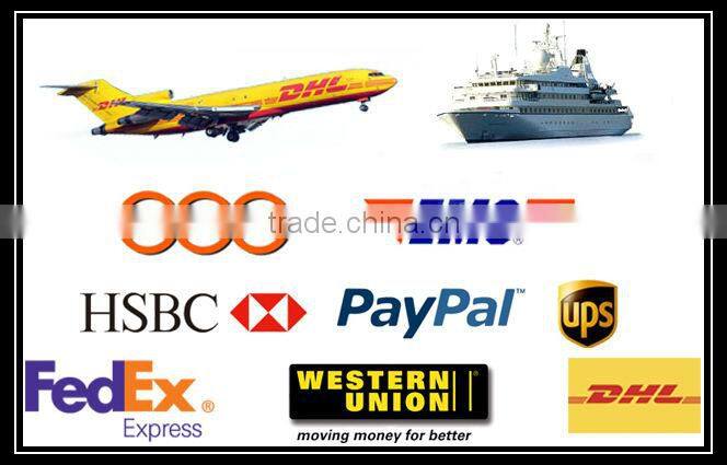 classic women admired TR90 optical frames reading glasses model pictures catalogue