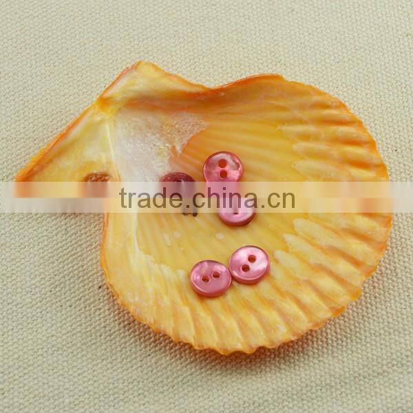 2 holes Japanese button for sewing