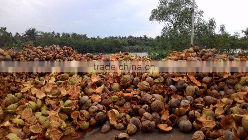 Coconut Fiber 2016 _ QQ : 2598494113