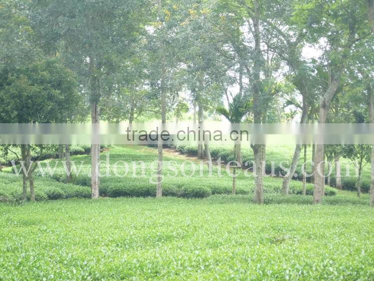 OLD STYLE OOLONG TEA