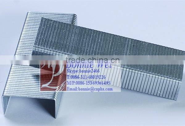 Hot Selling Office Galvanized staple