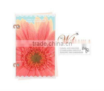 Meta food steamers PFRACK9939