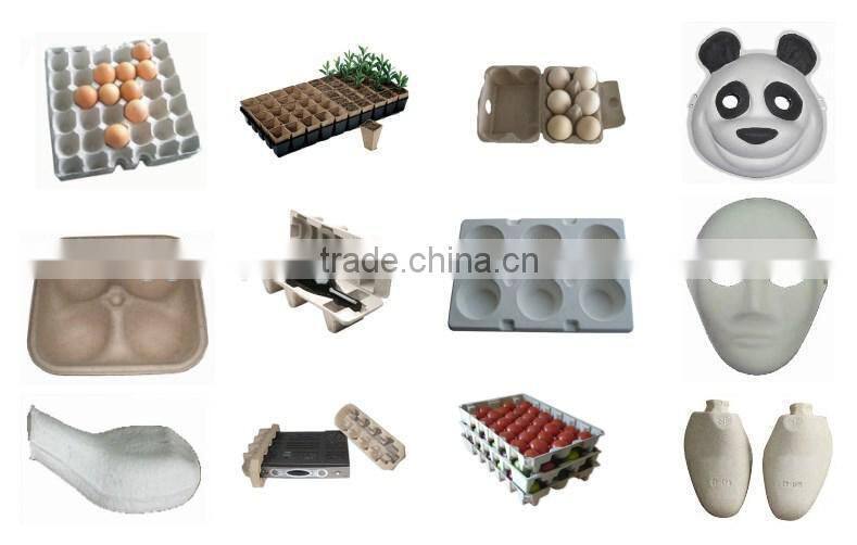 pulp machine from China factory paper making egg tray carton 5000 pcs/hour