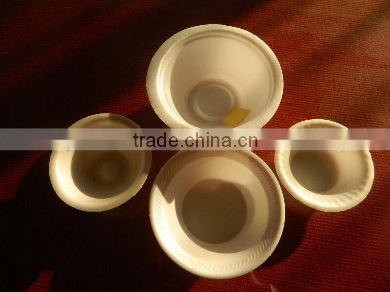 PS Disposable Food Container Making Machine(Europe quality)