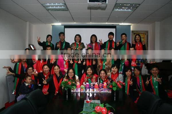 neckwear neckerchief,nechlace scarves