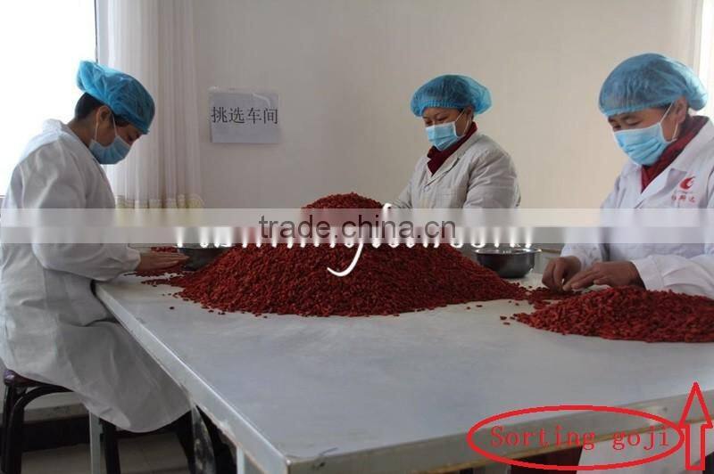 Dried Goji Berry Organic Goji Berries