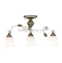 SD0950/6 Rural Style Wrought Iron With Peony Flower Chandelier