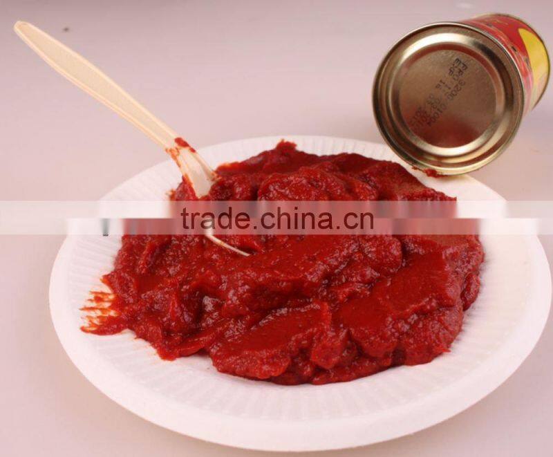 2014 Products New Gino Tomato Paste